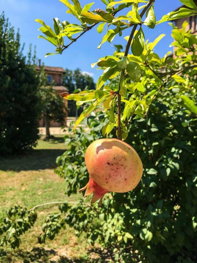Borgo Sartoni Case Vacanze Appartamenti In Affitto Bolonia Exterior foto